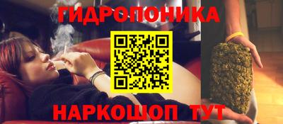винт Пенза