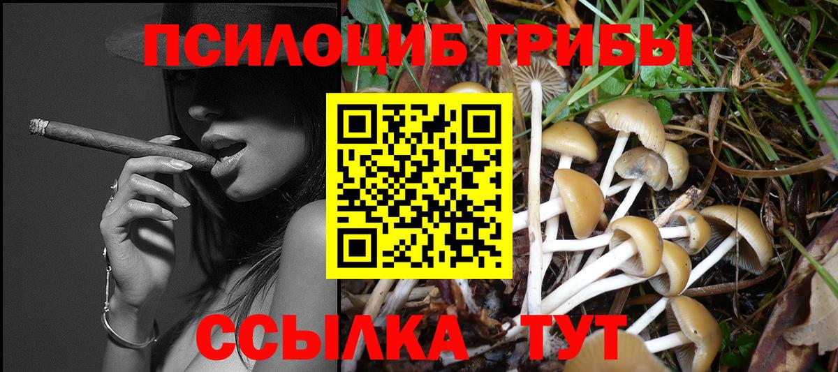 где купить наркоту  Псилоцибиновые грибы ЛСД  Вход с VPN  Россия 