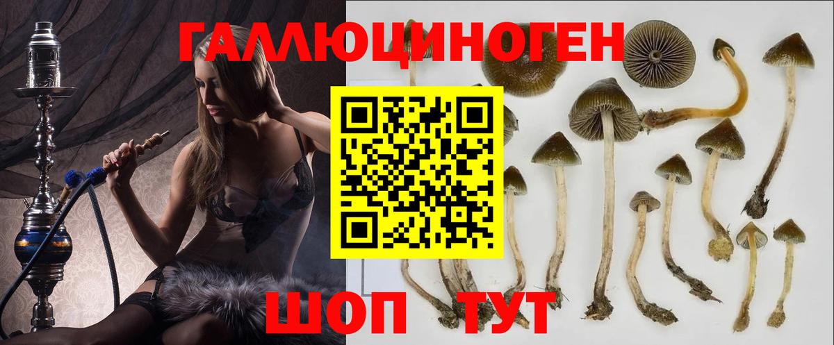Конопля  ЭКСТАЗИ  Мефедрон   Гашиш  Россия  Cocaine  Cocaine  Вход с VPN 