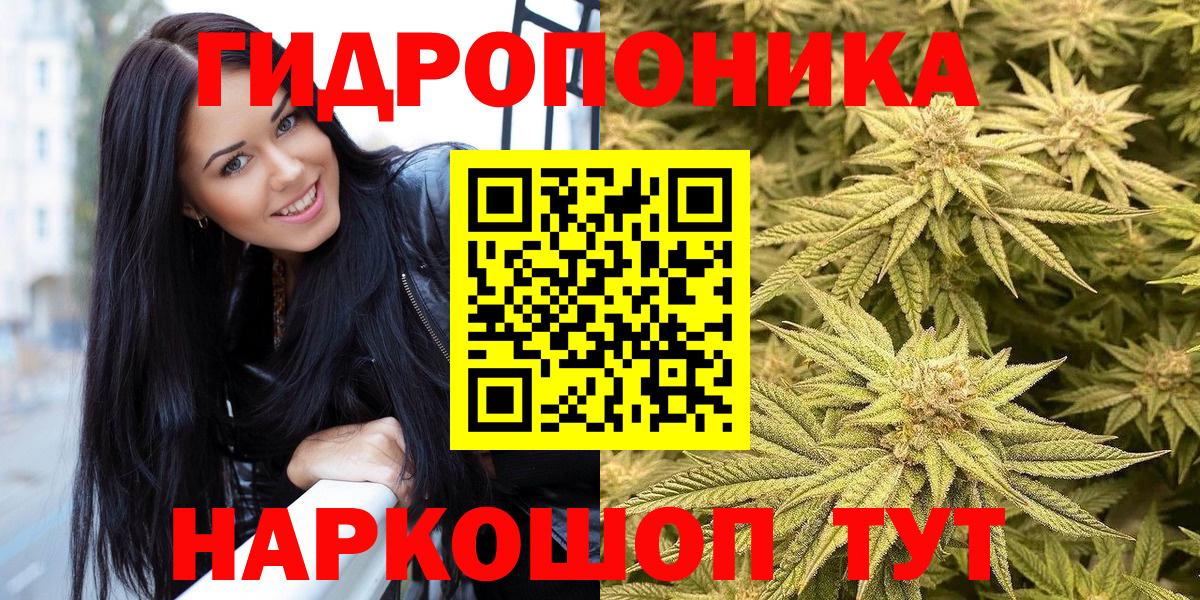 Каннабис Bruce Banner Россия